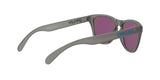 Oakley Junior Frogskins xs OJ 9006 (900605)