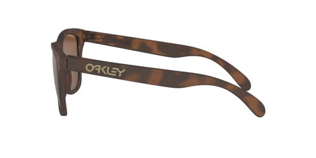 Oakley Frogskins OO 9013 (9013C5)