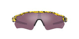 Oakley Radar EV Path OO 9208 (9208E8)